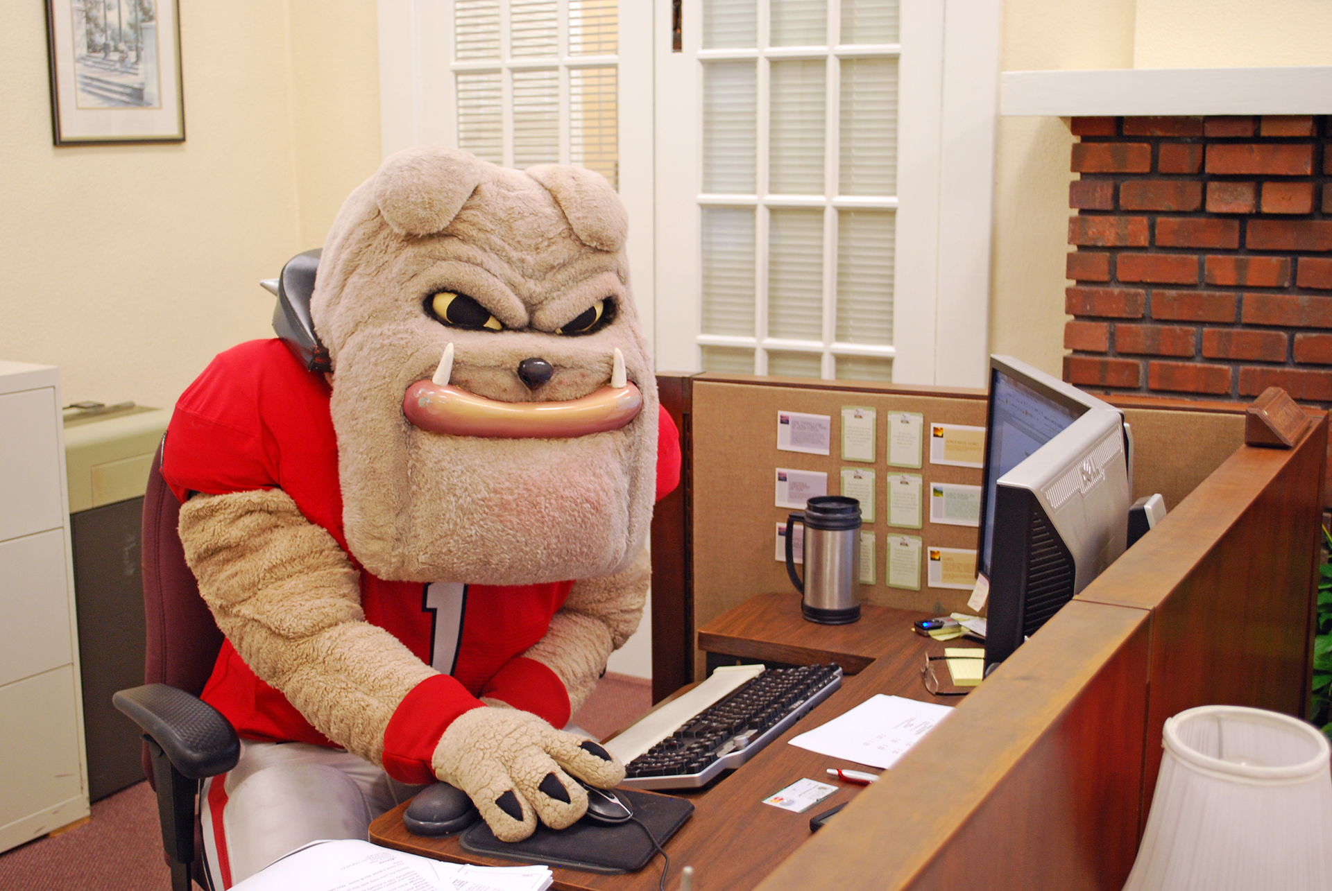 A photograph of Hairy Dawg sitting at a desk with a computer.