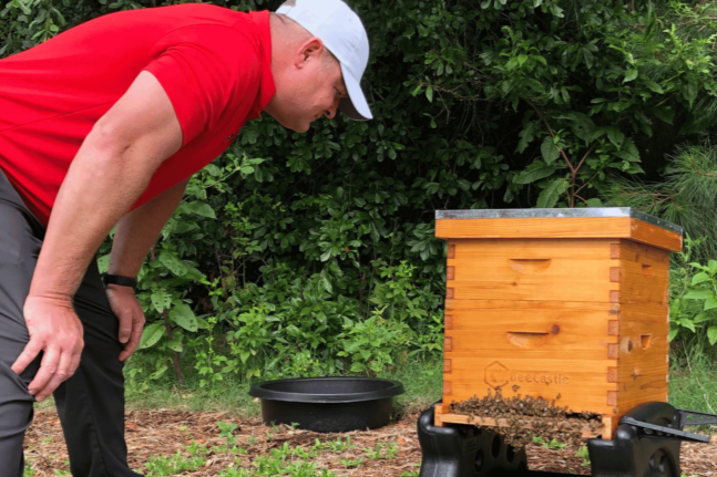 a man examining a bee box