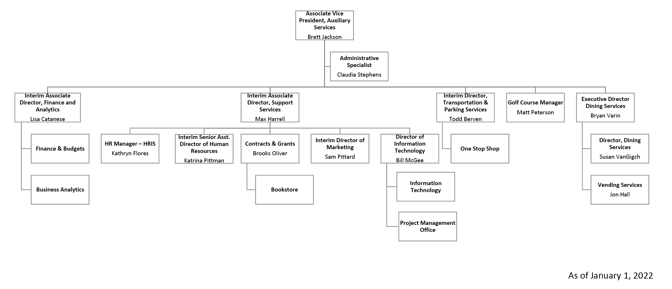 A chart that describes the organization of roles within Auxiliary. 